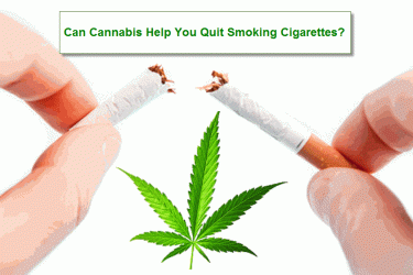 CANNABIS TO QUIT CIGARETTES
