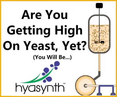 GETTING HIGH OFF YEAST