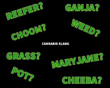 slang words for weed