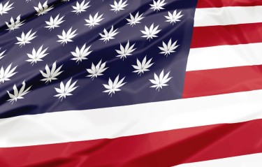 cannabis under trump