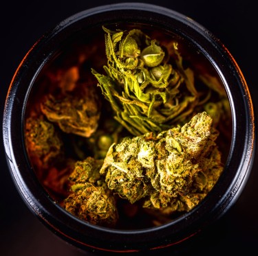 RISKS OF THC