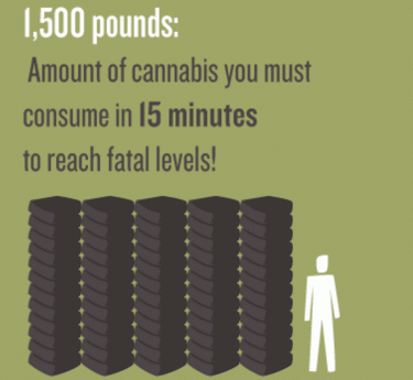 CANNABIS OVERDOSE