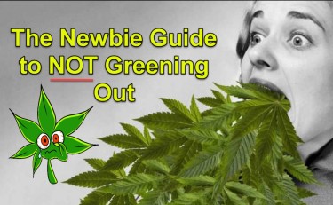 WHAT IS GREENING OUT