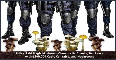 POLICE RAID MUSHROOMS