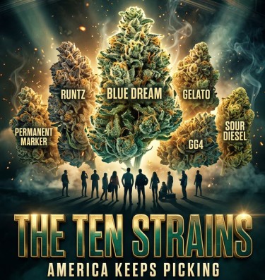 top 10 strains in america