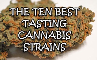 BEST TASTING WEED STRAINS