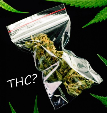 NOT ABOUT THC